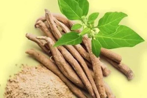 Ashwagandha